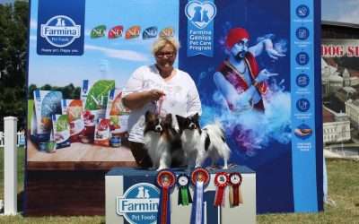 ARAD DOG SHOWS 2024.07.05.-07.