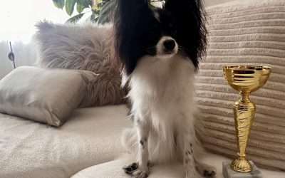 Rozi-CTPE Klub Puppy Champion