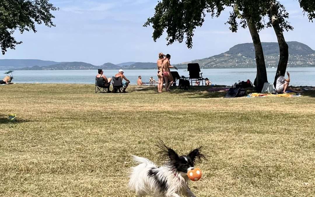 A fonyódi kutyás strandon